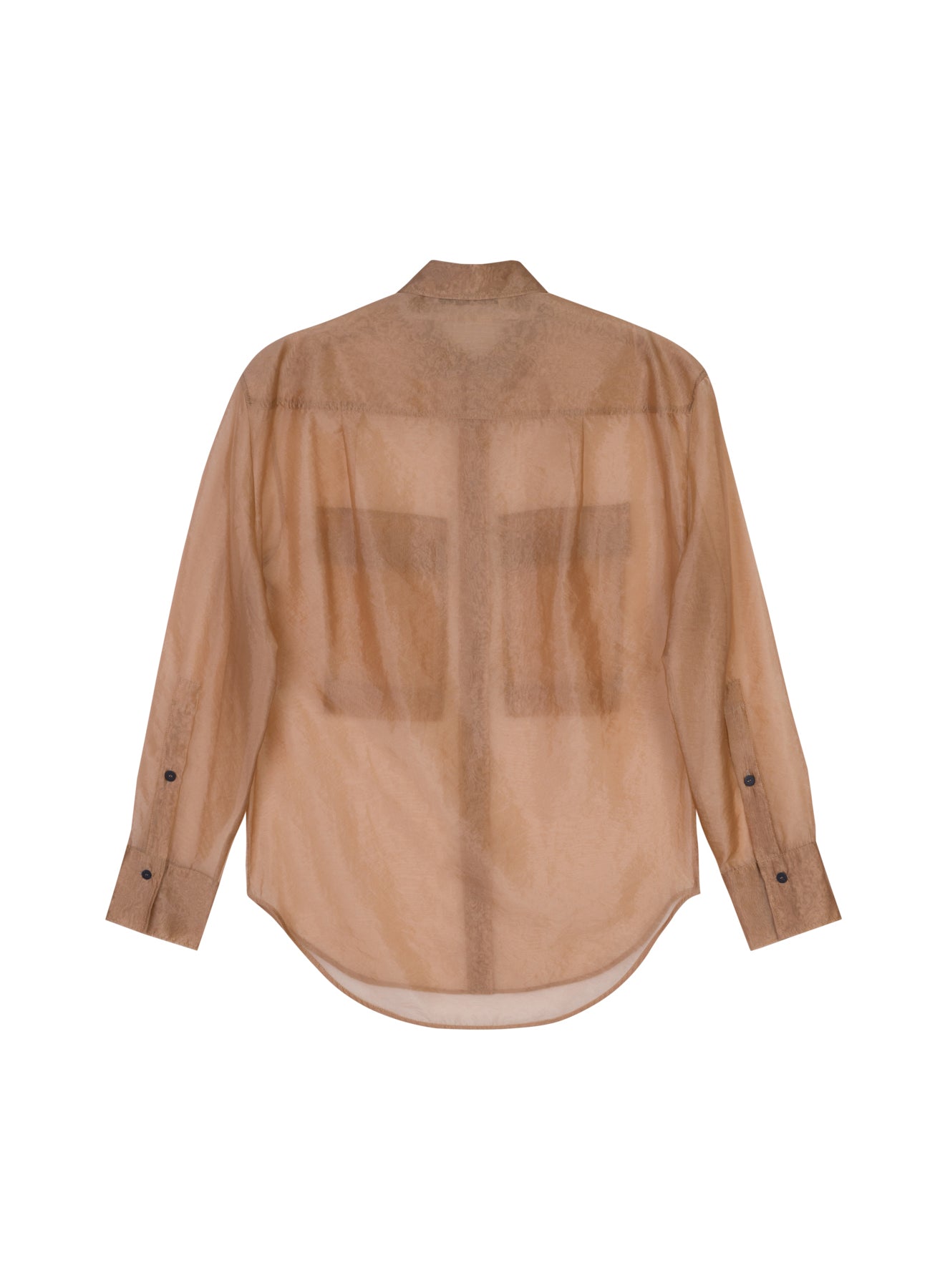 Organza Long-Sleeved Shirt